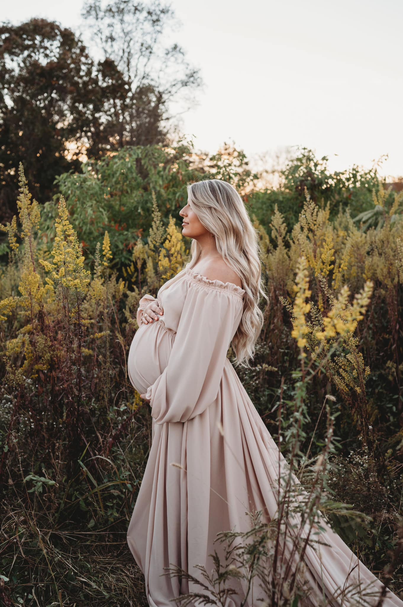 Alessandra Gown