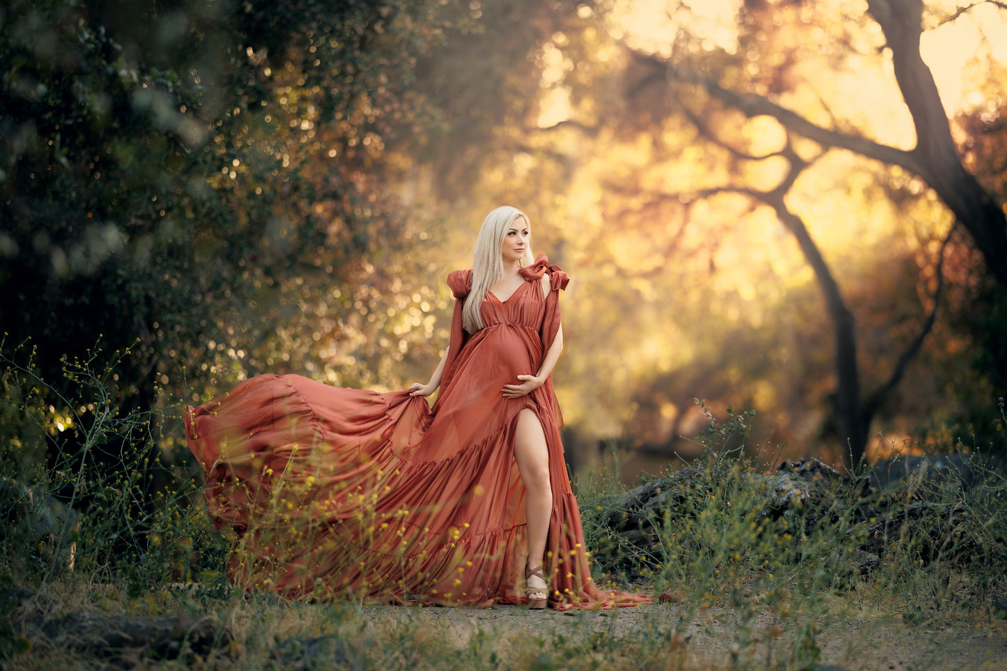 Monique Gown