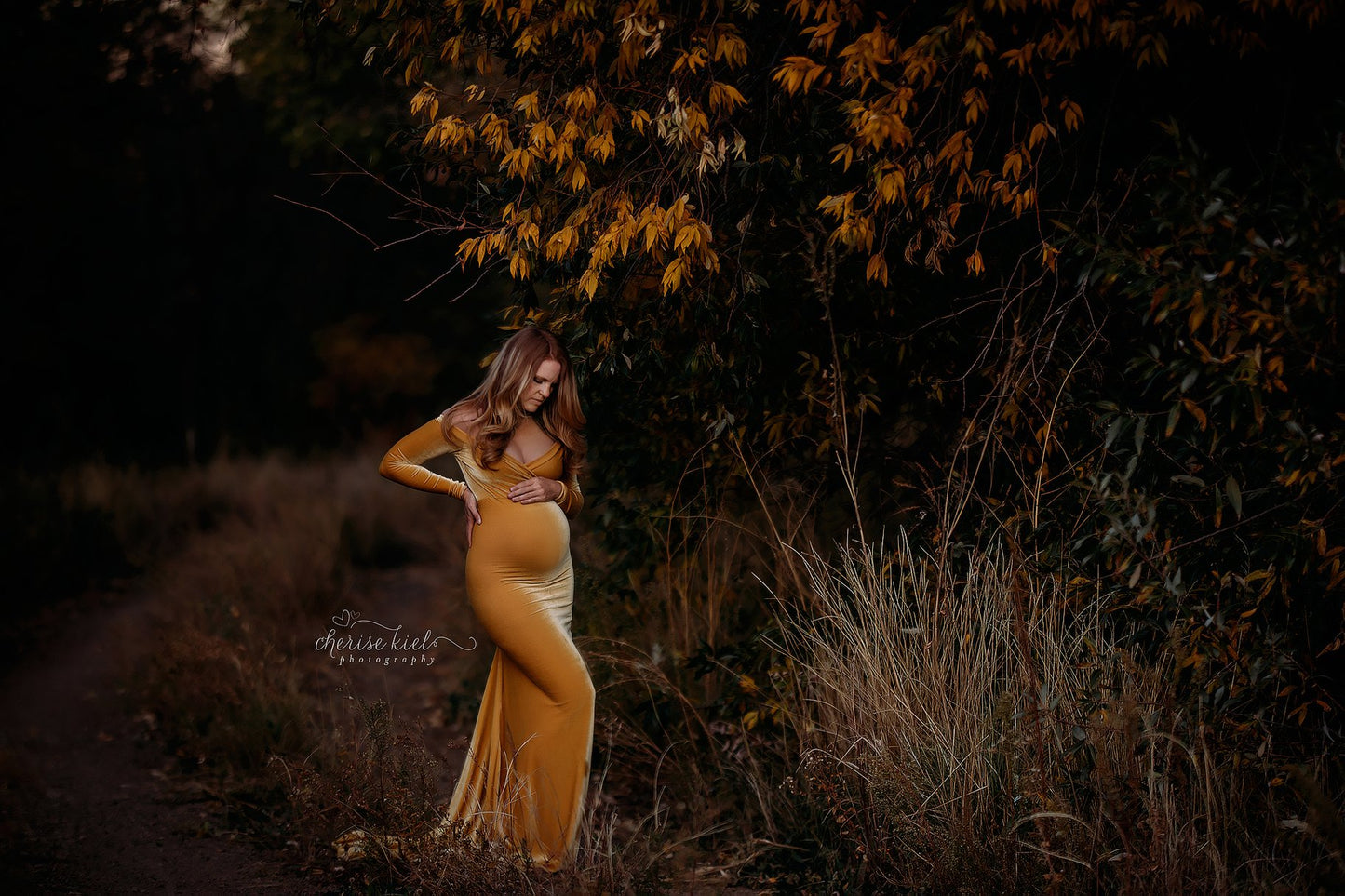 Scarlet Velvet Dress