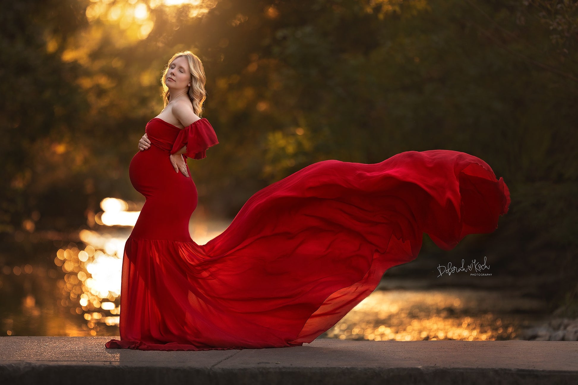 silk fairies maternity dress Diantha Gown Silk Fairies