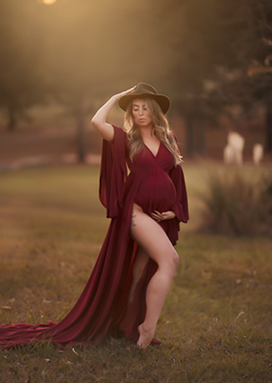 silk fairies maternity dress Diantha Gown Silk Fairies