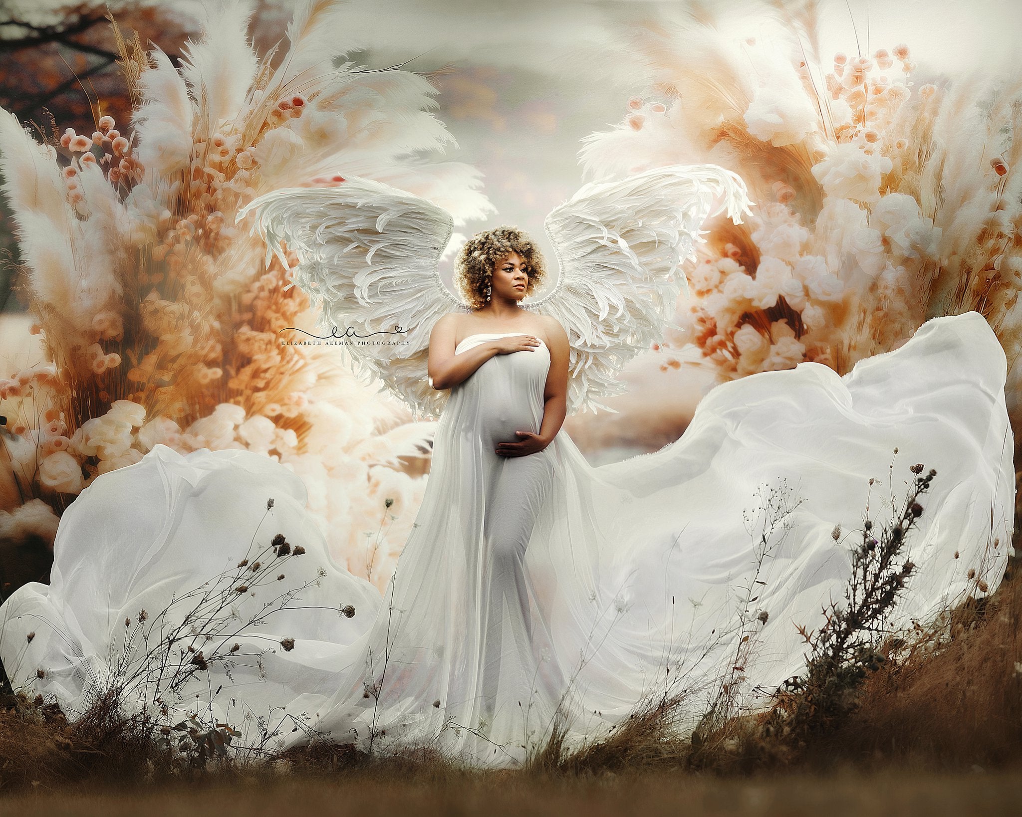 Silk Fairies Silk Fairies
